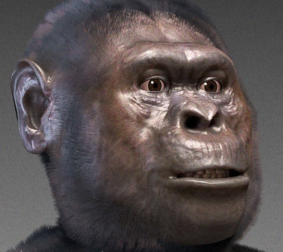 Australopithecus prometheus
