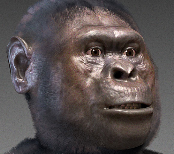 image_1807_1-Australopithecus Australopithecus prometheus