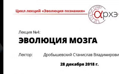 Станислав Дробышевский: Эволюция мозга.
